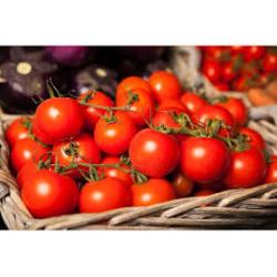 TOMATE GRAPPE GUSTATIVE